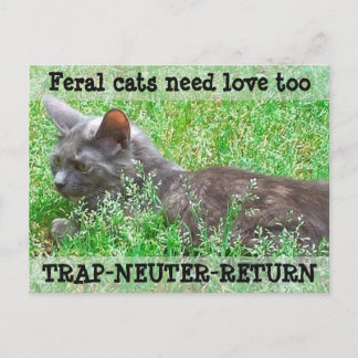 De wilde Liefde van de Behoefte van Katten - TNR Briefkaart