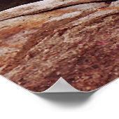 De wilde natuur veroveren poster (Hoek)