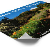 De wilde natuur zal Isaiah 35:1 Poster (Hoek)