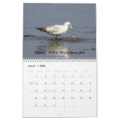 De wilde wereld van Ternen en Gulls Kalender (Mar 2026)