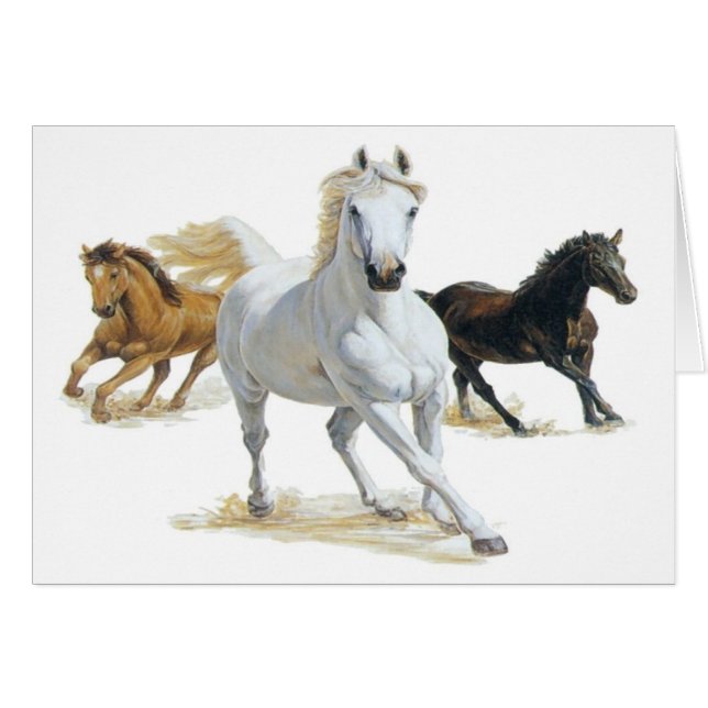 De wind krommen (Voorkant Horizontaal)