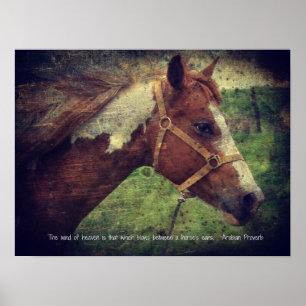 De wind van de hemel, flikkerd poster