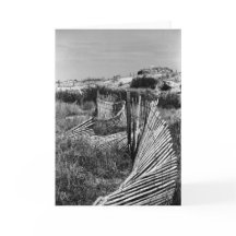 De windende Omheining van het Duin