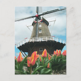 De Windmolen van de Bloemen van de Tijd van de Briefkaart