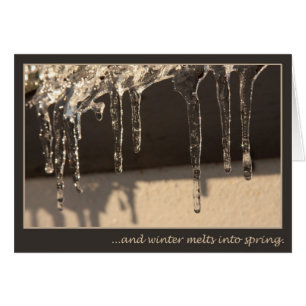 De winter aan de Lente