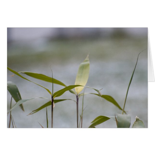 De winter komt eraan (Voorkant Horizontaal)