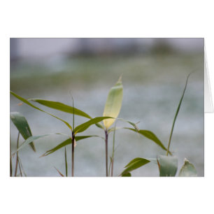 De winter komt eraan