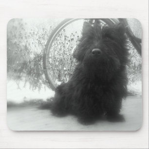 De winter Schots Terrier Muismat