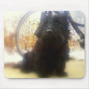 De winter Schots Terrier Muismat