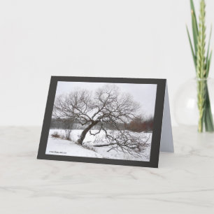 De Winter van dame Willow's Kaart