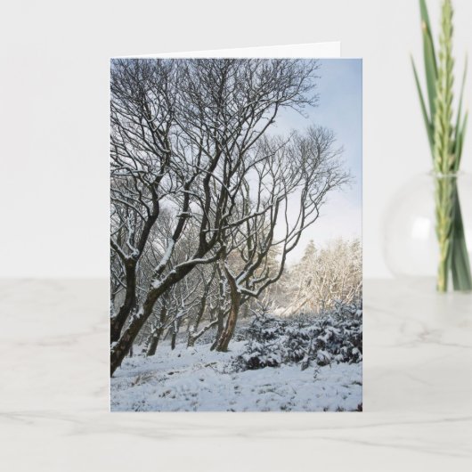 De winter van het Macclesfield Kaart (Voorkant)