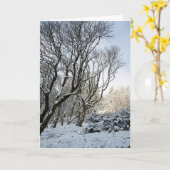 De winter van het Macclesfield Kaart (Gele Bloem)
