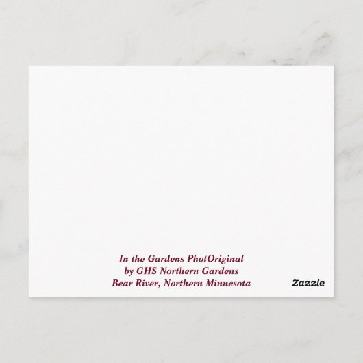 "De winter van het seizoen in de Beer Briefkaart (Achterkant)