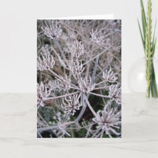 de winters klauwen kaart