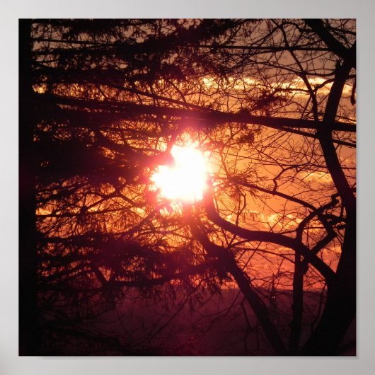 De Winterzon Poster (Voorkant)