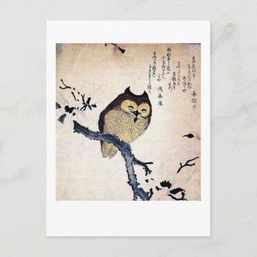 De Wise Old Owl Briefkaart (Voorkant)
