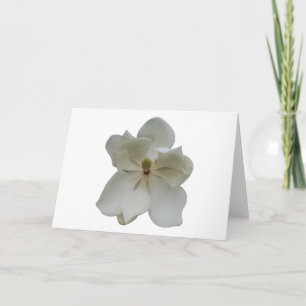 De witte bloem van de Magnolia op lege notakaart Kaart