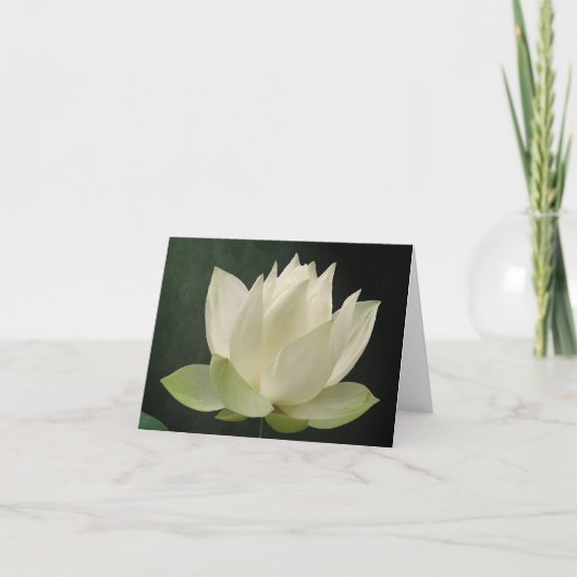 De witte Bloesem BloemenNotecard van Lotus Kaart (Voorkant)