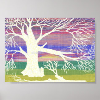 de witte boom poster