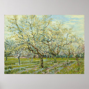 De witte boomgaard door Vincent Van Gogh Poster