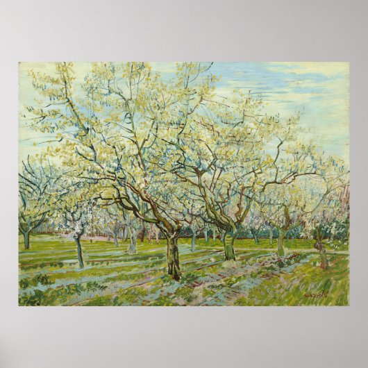 De witte boomgaard door Vincent Van Gogh Poster (Voorkant)