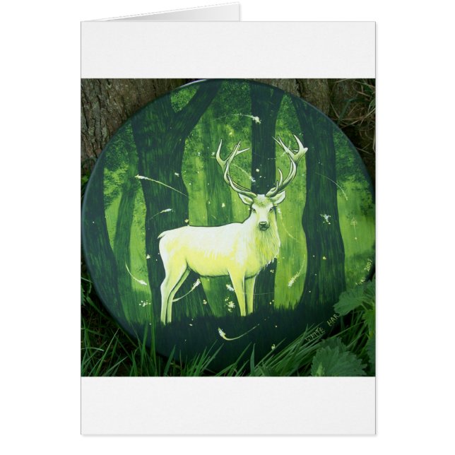 De witte hart (Voorkant)