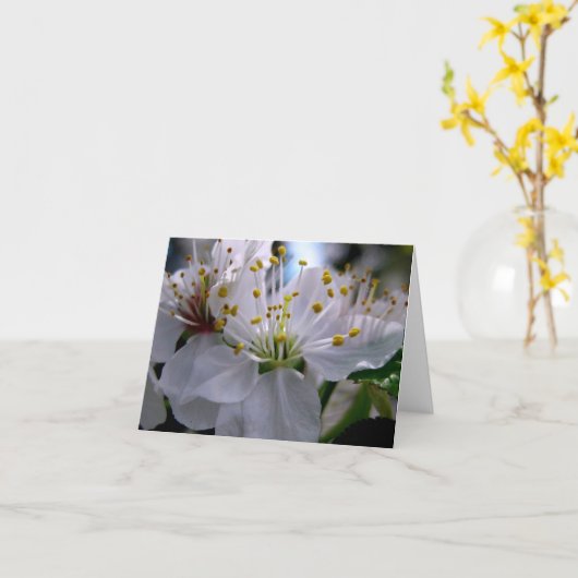 De witte Kaart van de Nota van de Bloesems van de (Gele Bloem)