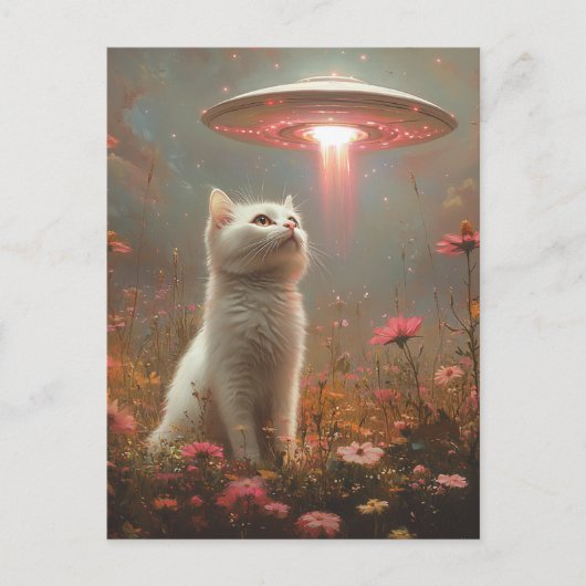 De witte kat en een ufo briefkaart (Voorkant)