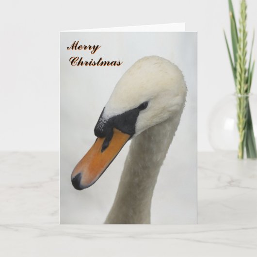 De witte Kerstkaart van de Zwaan Feestdagen Kaart (Voorkant)