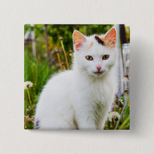 De witte Knoop van het Katje Vierkante Button 5,1 Cm