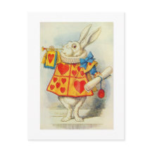 De Witte Konijn, illustratie 