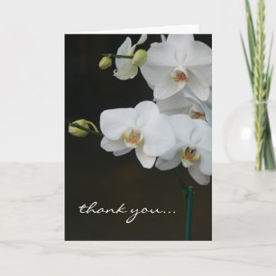 De witte Orchideeën danken u Bedankkaart