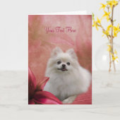 De witte Rode Kaart van de Foto van de Kunst van (Gele Bloem)