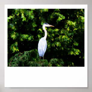 De witte vogelprint poster