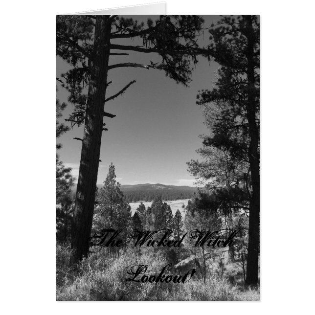 De witte witch die eruit kijkt (Voorkant)