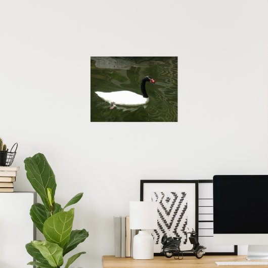 De witte zwaan poster (Thuiskantoor)