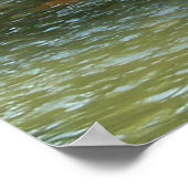 De witte zwaan poster (Hoek)