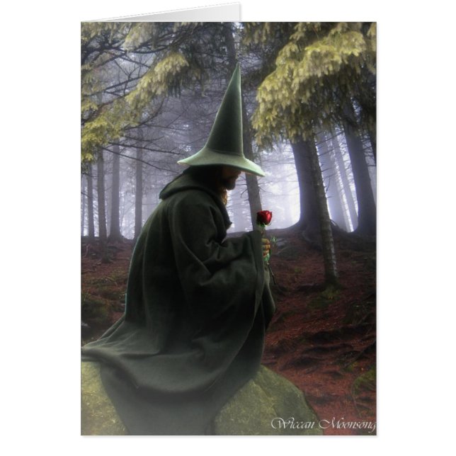 De wizard (Voorkant)