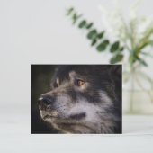 De Wolf Briefkaart (Staand voorkant)