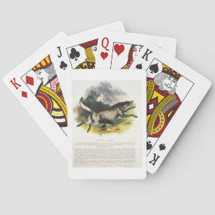 De Wolf (Canis lupus) is een educatieve illustrati Pokerkaarten