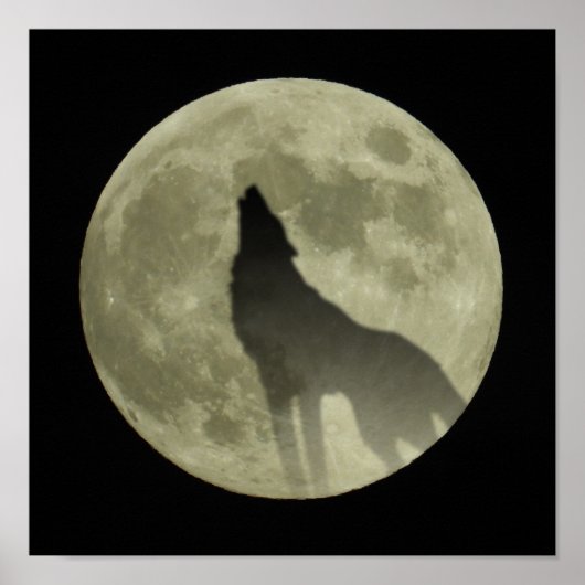 De wolf poster (Voorkant)