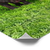 De wolken. poster (Hoek)