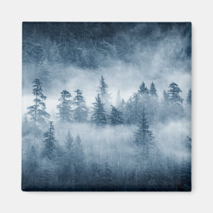 De wolken van het woud van de Regen in de Stille O Magneet