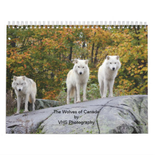 De Wolven van Canada (kalender) Kalender