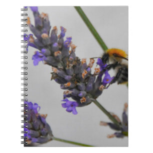 De wonderbaarlijke werkers van de natuur notitieboek