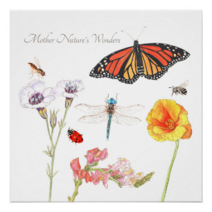 De wonderen van Moeder Natuur Perfect Poster
