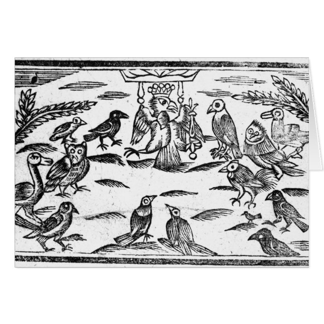 De Woody Choristers of de vogelharmonie (Voorkant Horizontaal)