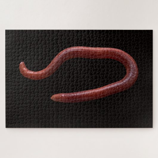 De Worm Collectie Legpuzzel (Horizontaal)