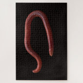 De Worm Collectie Legpuzzel (Verticaal)
