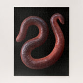 De Worm Collectie Legpuzzel (Verticaal)